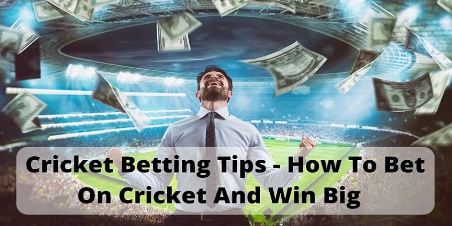 Daily Cricket Match Tips: Expert Advice to Boost Your Winnings